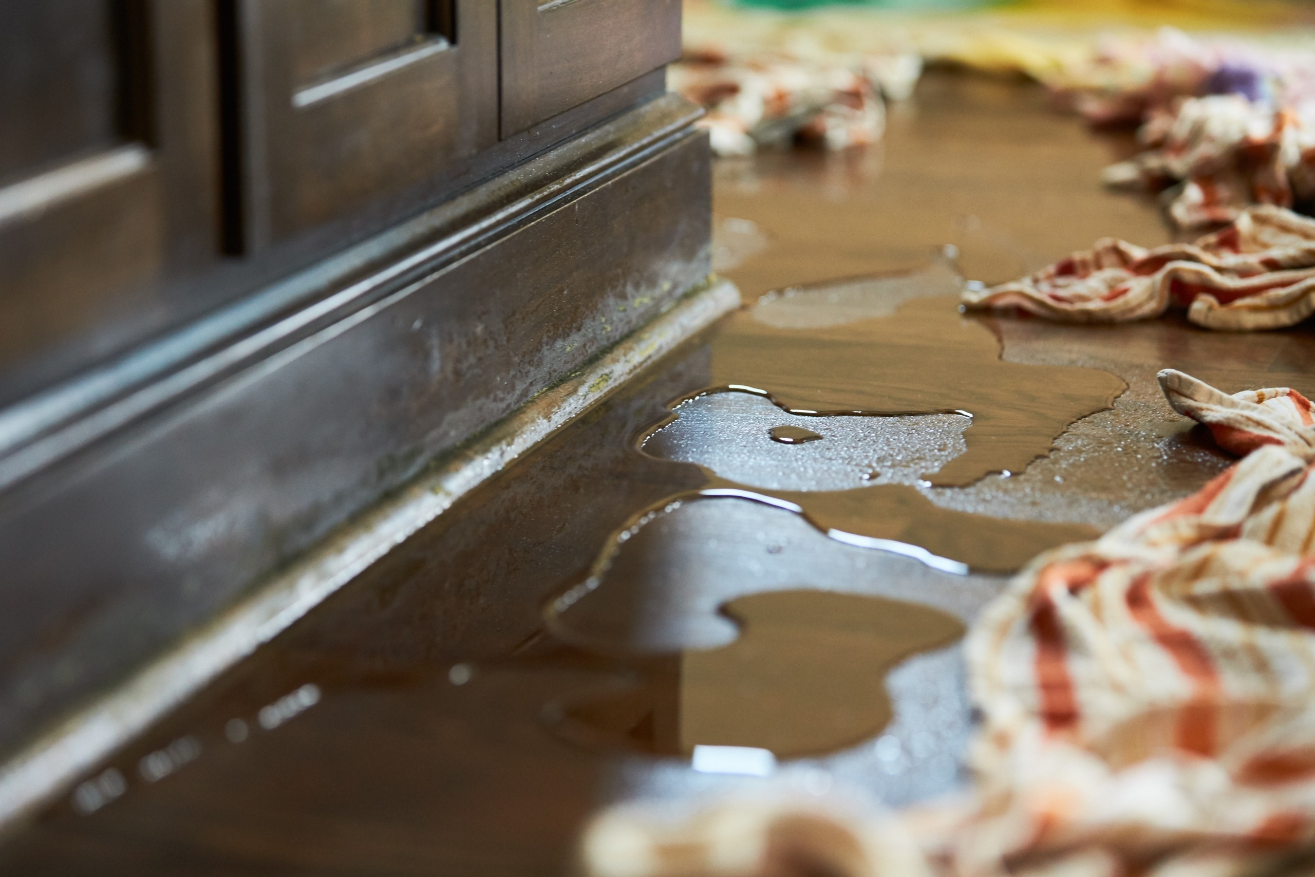 Water Damage Restoration in st simons & brunswick