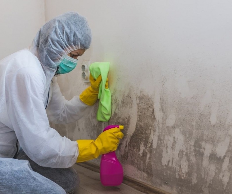 Mold Removal Premier Restoration Services