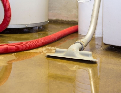 Flood Damage Cleanup in St. Simons | How to Cleanup a Flooded Basement