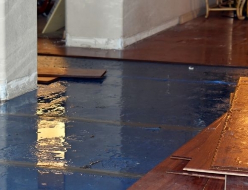 Ceiling Water Damage – What to Do | Water Damage Cleanup in St. Simons