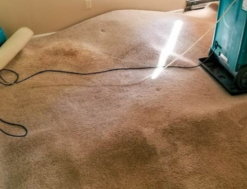 Water Damage Restoration in St. Simons | Detecting Water Damage On Carpets