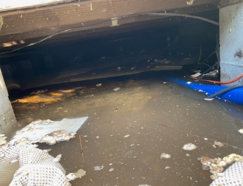 Crawl Space Encapsulation | 8 Signs Indicating Your House Needs Crawl Space Encapsulation
