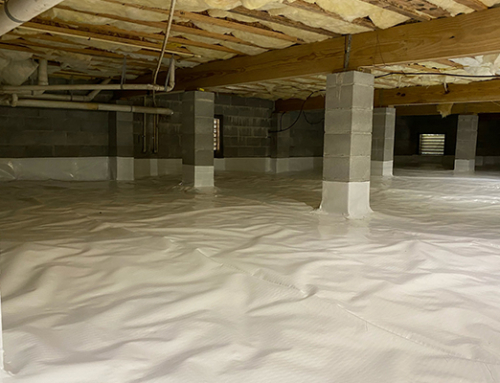 How Crawl Space Encapsulation Limits Mold And Allergens? | Crawl Space Encapsulation In St. Simons Island, GA