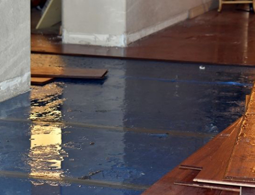 A Guide To Documenting Water Damage For Insurance Claims | Water Damage Restoration Brunswick, GA
