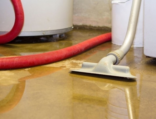 Why Industrial Dehumidifiers Are Critical for Water Damage Recovery | Water Damage Cleanup in St Simons, GA