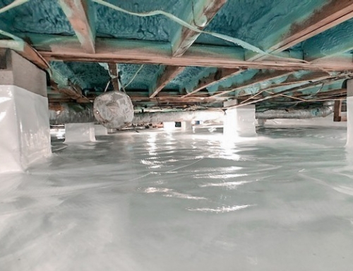 10 Questions to Ask Before Crawl Space Encapsulation | St. Simons, GA