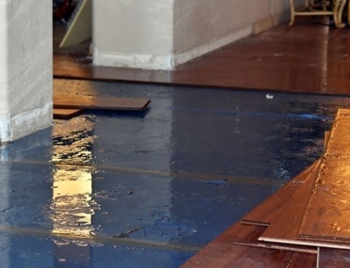 What Flood Damage Does to Walls, Floors, and Foundations | Brunswick, GA