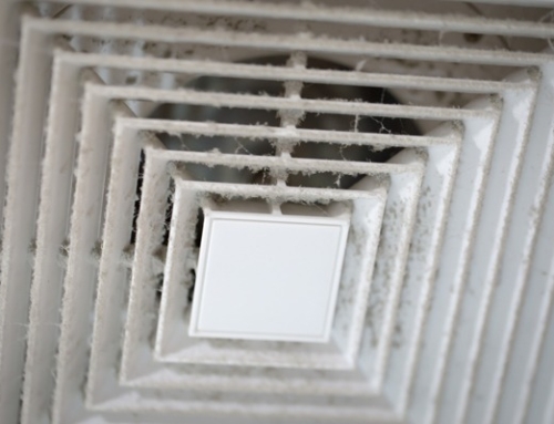 Should Air Ducts Be Cleaned After Rodents or Insects? | Air Duct Cleaning in Brunswick, GA